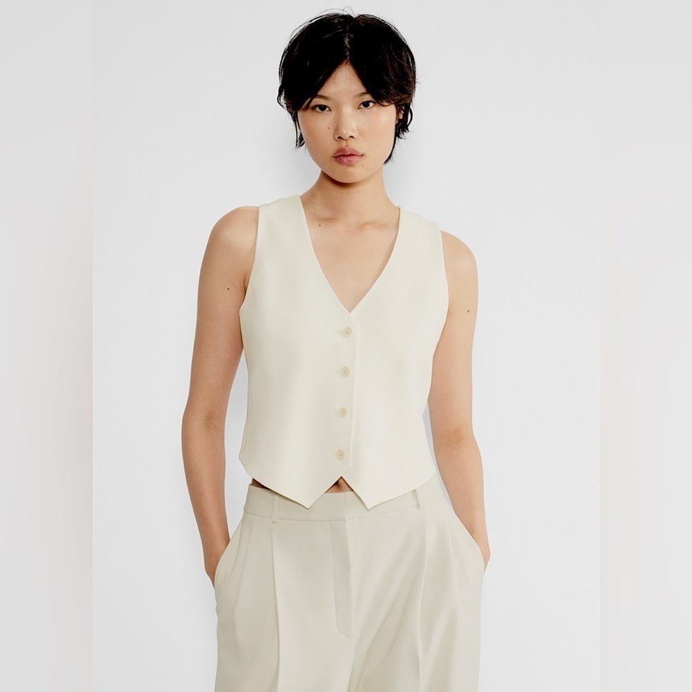 Aritzia Babaton Deniro Vest